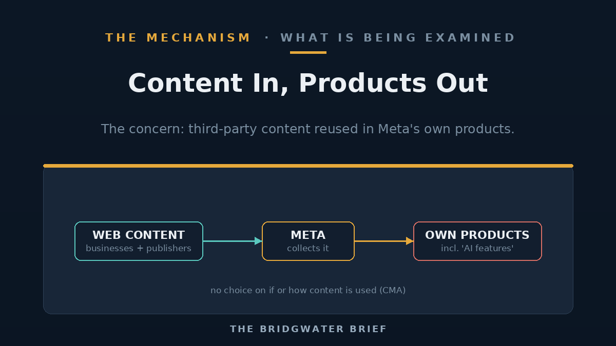 Diagram showing content flowing from business and publisher websites into a platform's own products and AI features with no opt-out